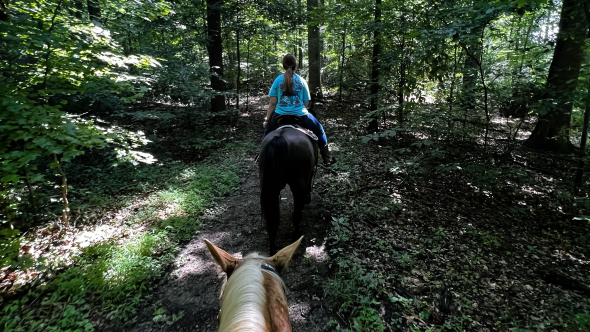 Sunny and Stoney hacking it in Iroquois park.